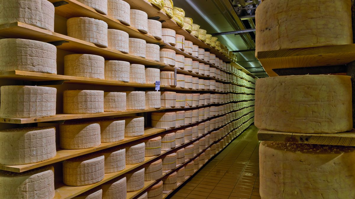 Dolce o piccante?  Il Gorgonzola italiano è uno dei formaggi più famosi al mondo
